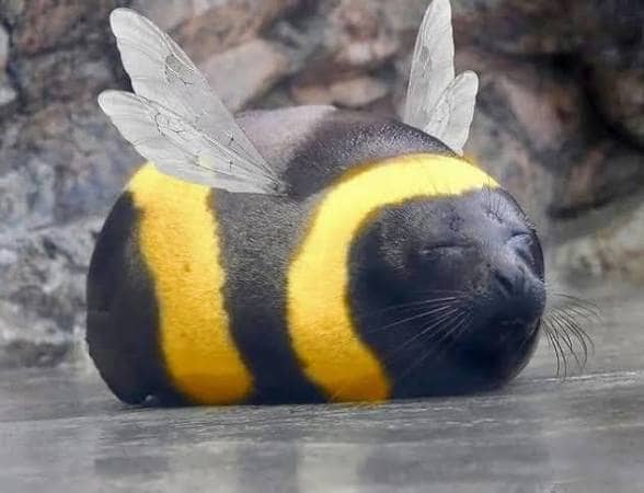 ttt